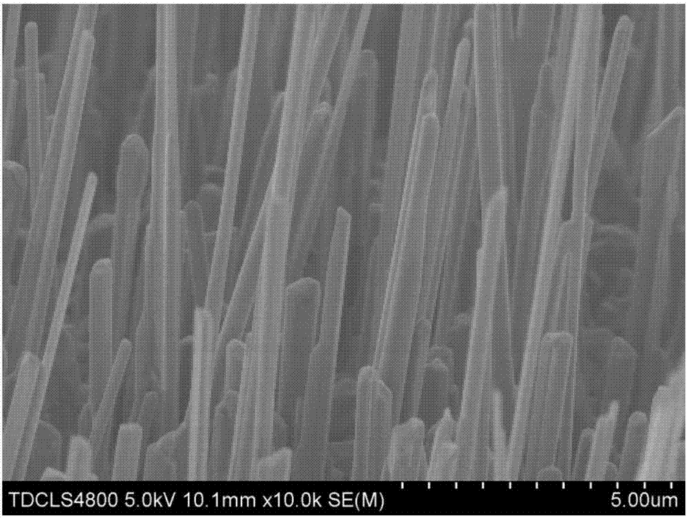 Synthetic method of cobaltosic oxide-loaded copper oxide nanorod