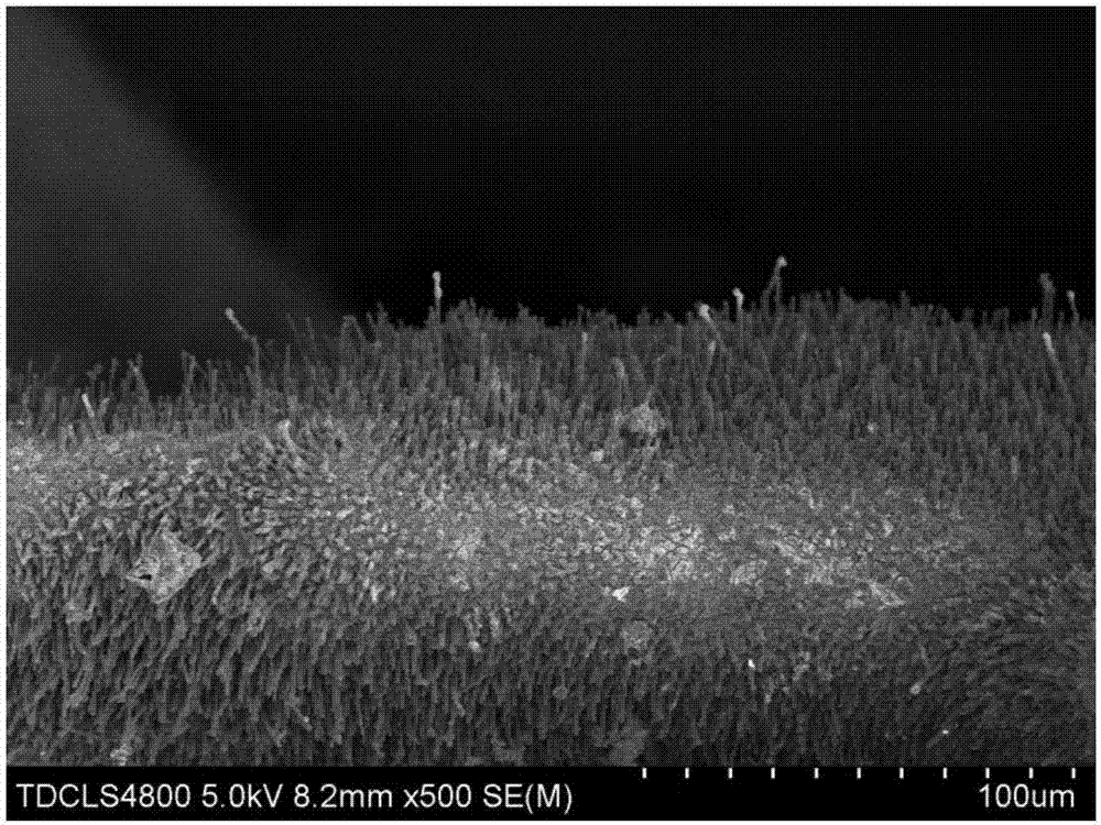 Synthetic method of cobaltosic oxide-loaded copper oxide nanorod