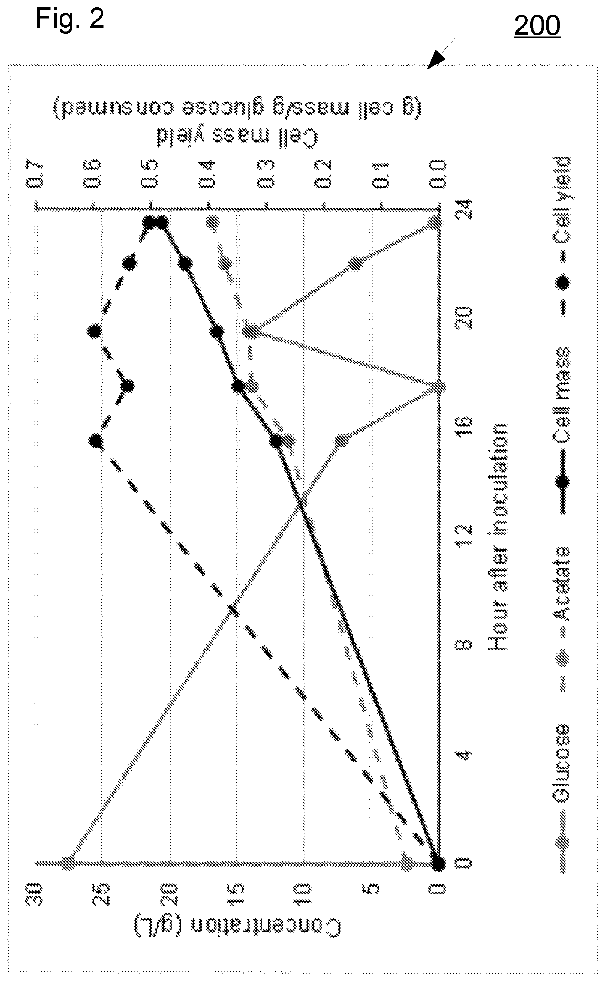 Proteinic biomass preparation comprising a non-native organism of the clostridia class