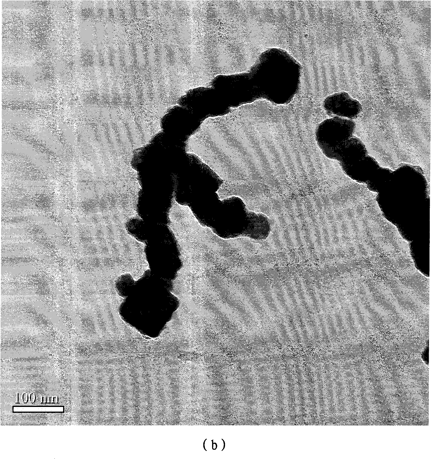 Nanolevel zero-valent iron particle coated with oleic acid-Pluronic and synthetic method thereof