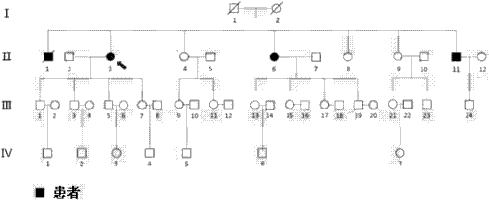 FKBP5 gene fragment containing 163G&gt;C mutation, coded protein fragment and application thereof