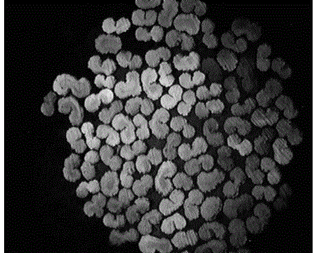 A preparing method of a polyethylene fine-denier moisture-conducting fiber