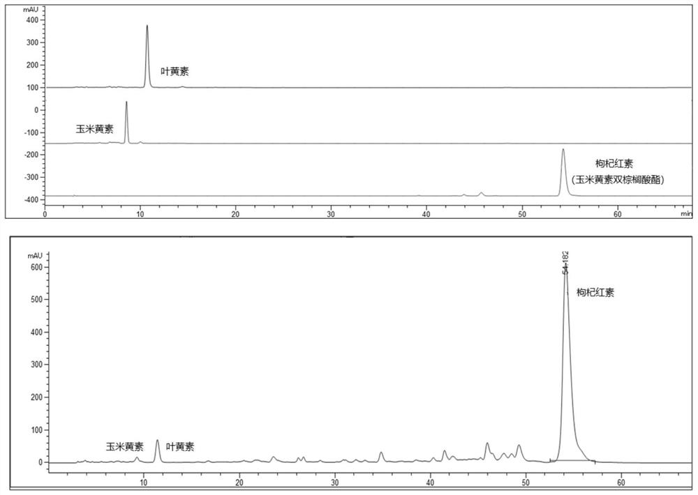 Chinese wolfberry seed oil microcapsule rich in wolfberry color and preparation method of microcapsule