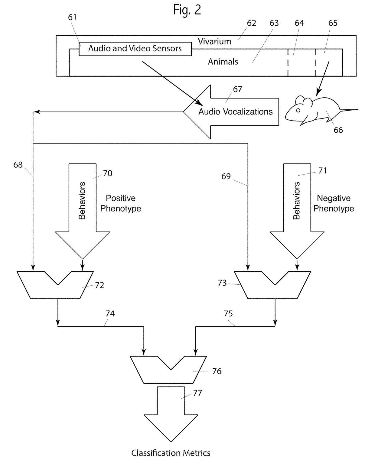 Device and method of identification and classification of rodent cognition and emotion