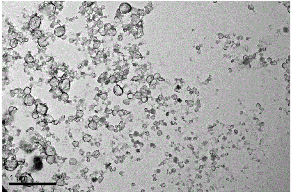 A kind of preparation method of silicon dioxide coated microcapsule of essential oil