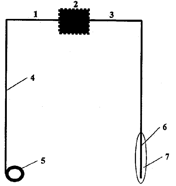 Electrochemical sensor of hydrogen in extreme environment