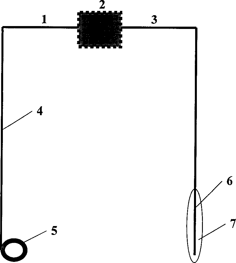 Electrochemical sensor of hydrogen in extreme environment