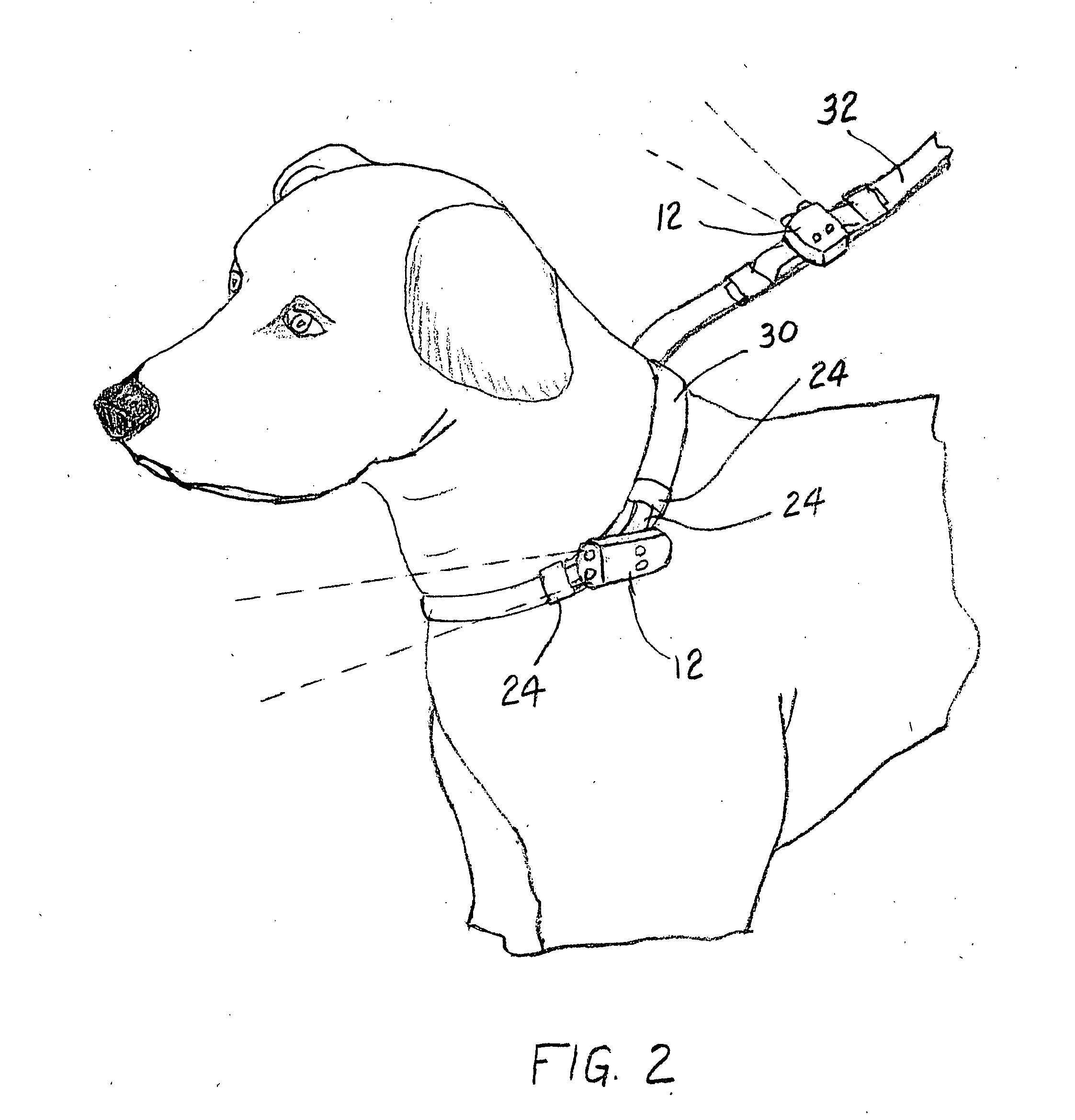 Illumination apparatus adaptable to pet collars