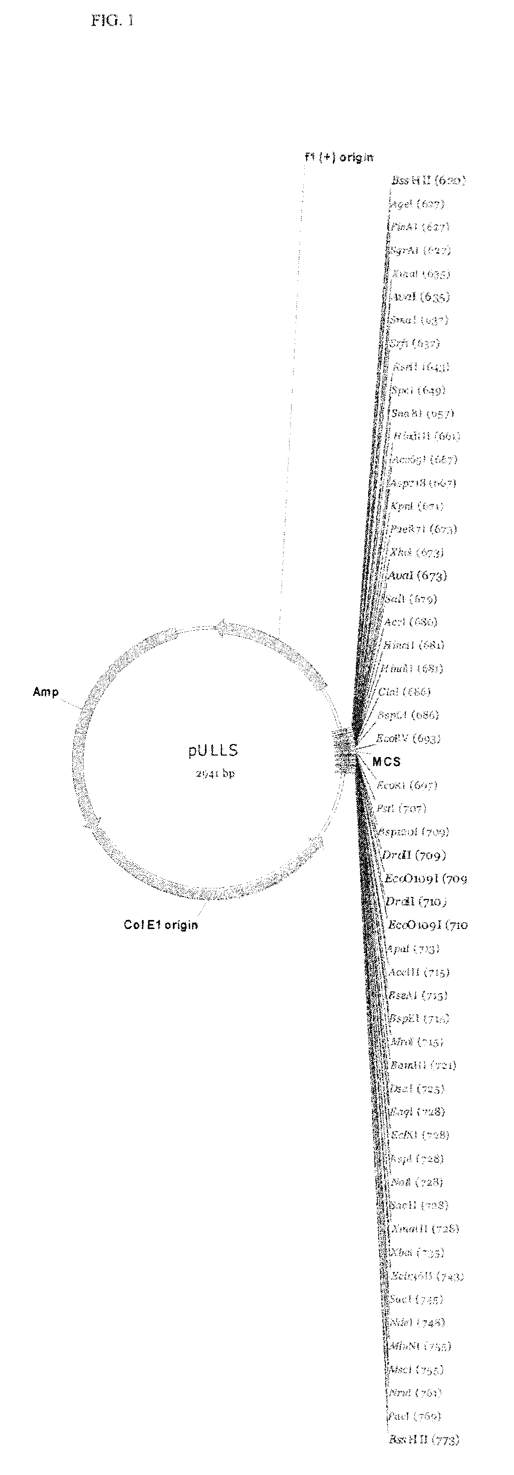 Plasmid system for multigene expression