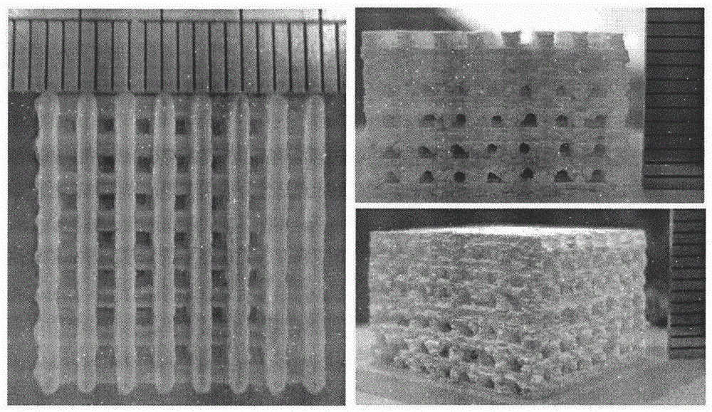 Laser preparation method of porous bone scaffold and adding zinc oxide to improve performance