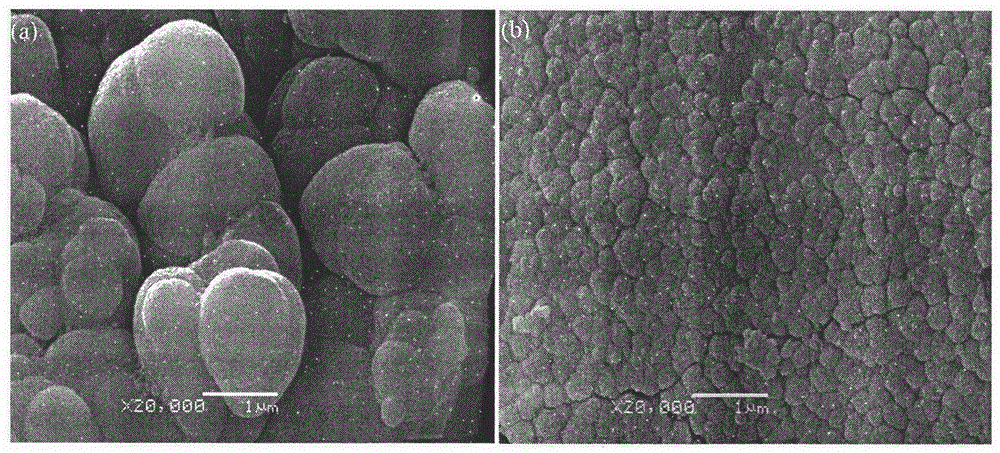 Laser preparation method of porous bone scaffold and adding zinc oxide to improve performance