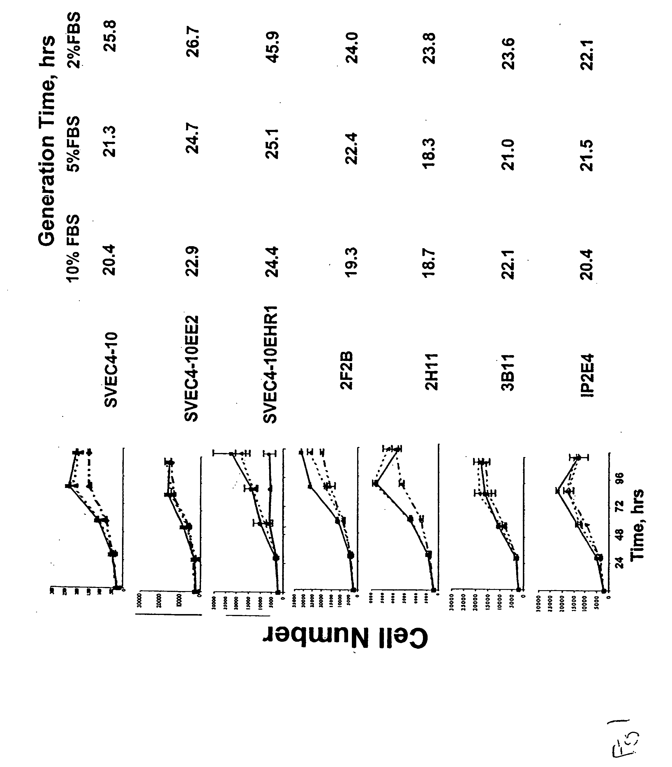 Mammalian endothelial cell model systems