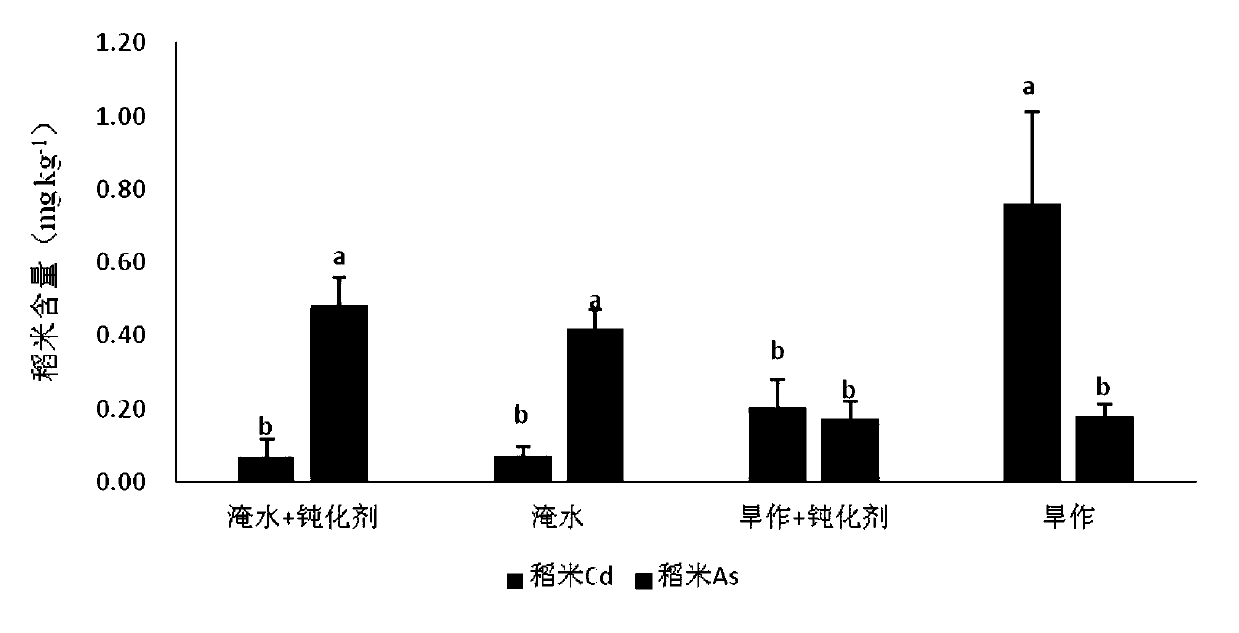 Long-acting passivator for cadmium in soil, and preparation method and application thereof