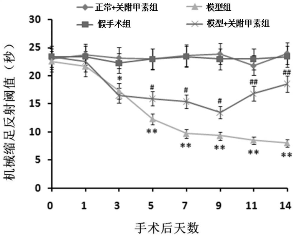 Application of Guanfu A in the preparation of medicine for neuropathic pain