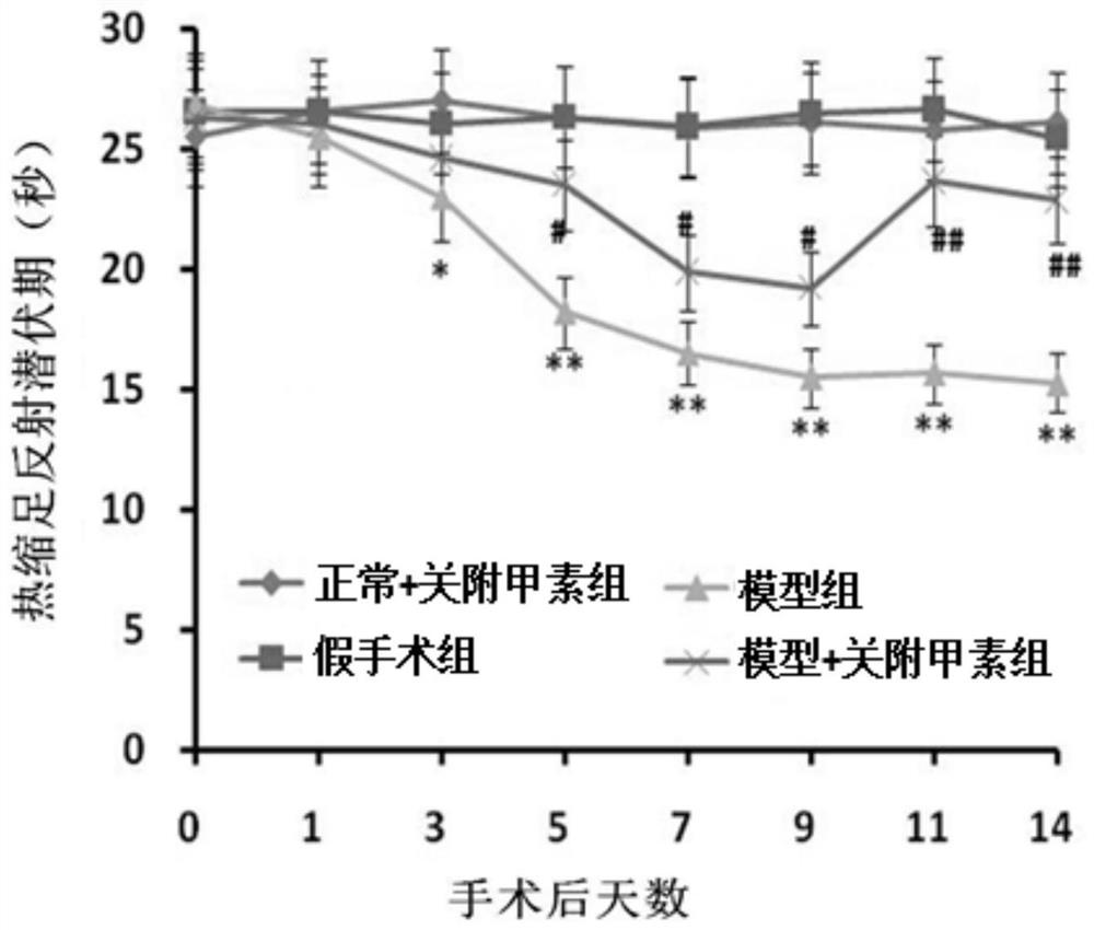 Application of Guanfu A in the preparation of medicine for neuropathic pain