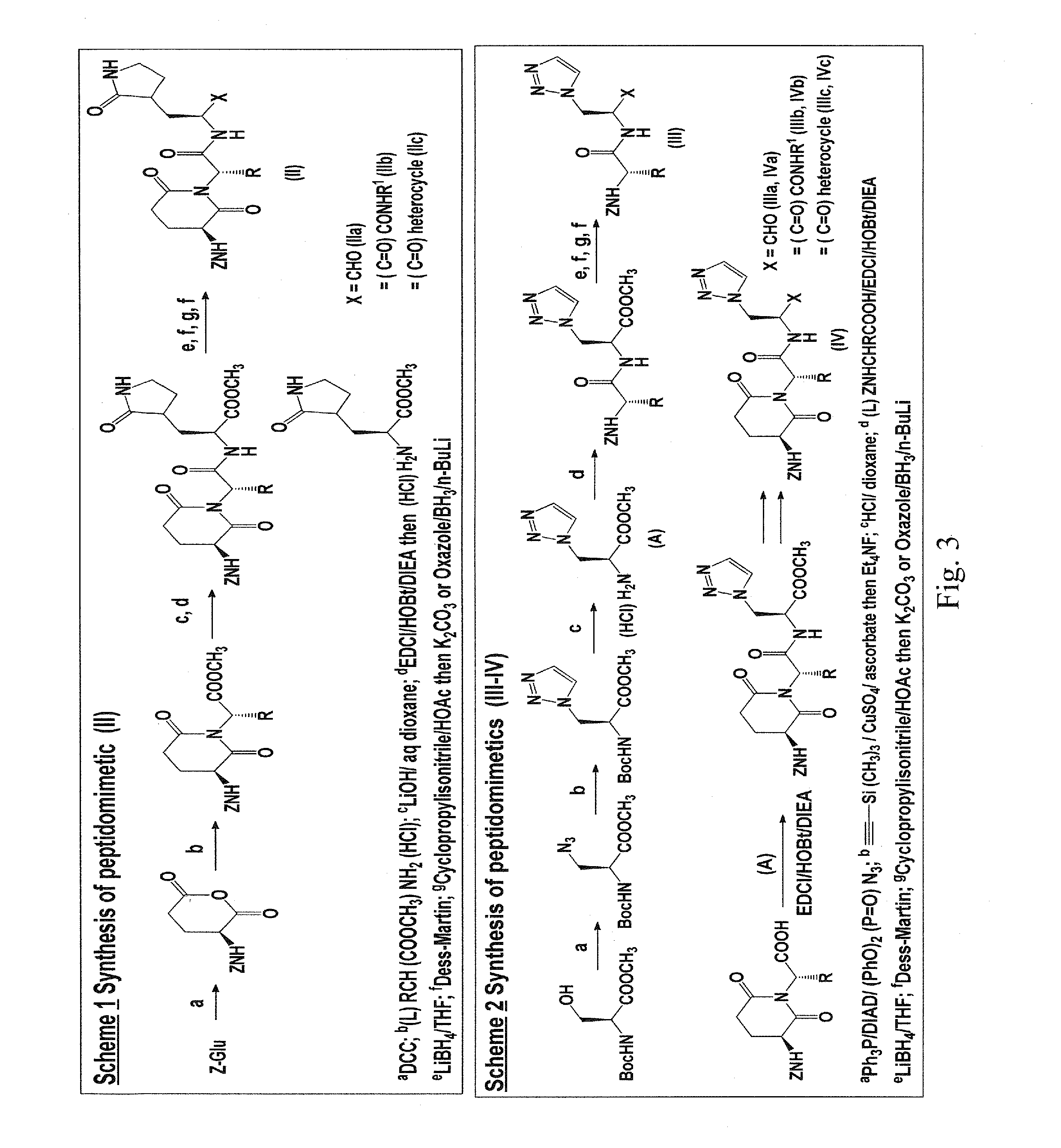 Macrocyclic and peptidomimetic compounds as broad-spectrum antivirals against 3C or 3C-like proteases of picornaviruses, caliciviruses and coronaviruses