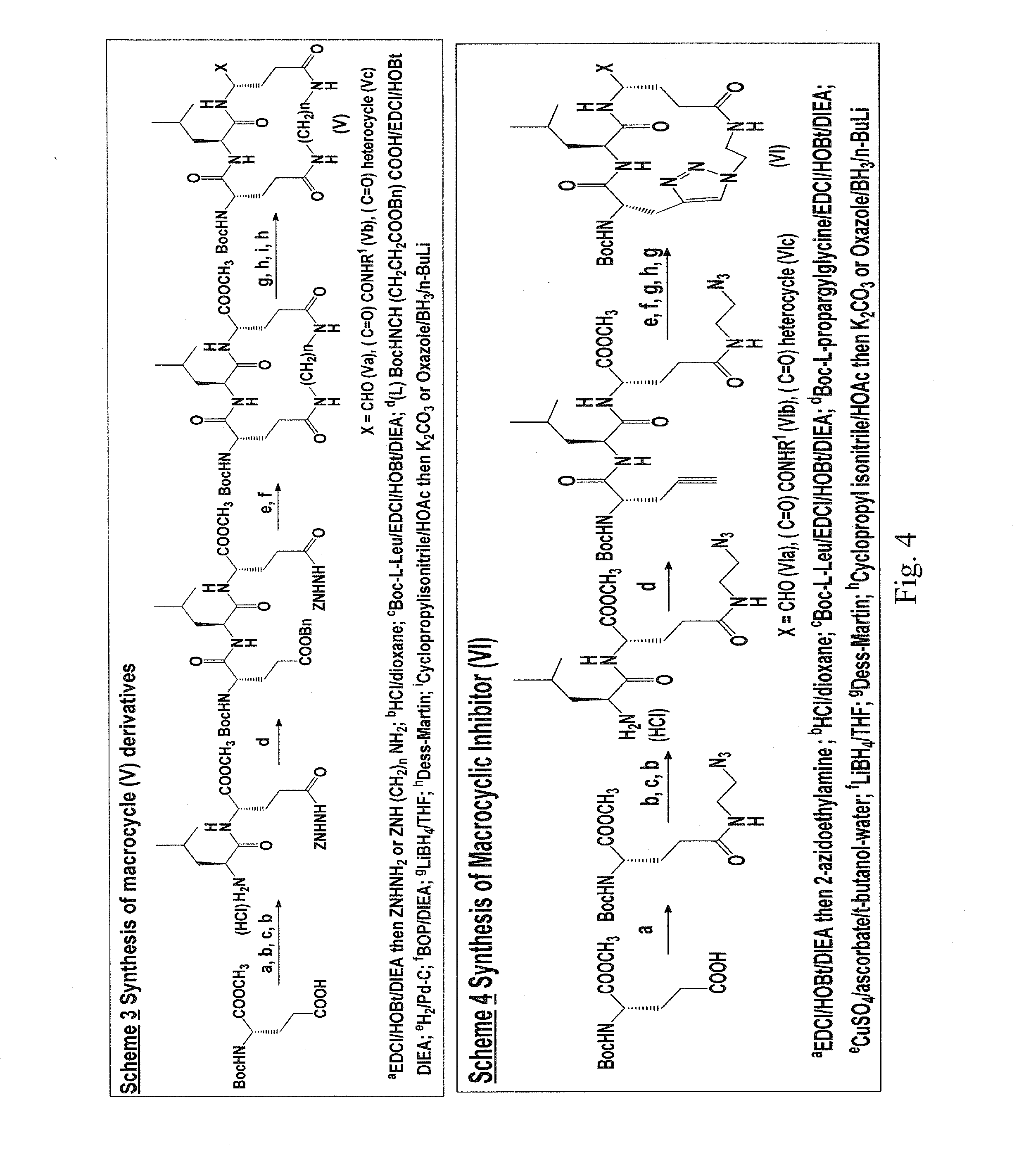 Macrocyclic and peptidomimetic compounds as broad-spectrum antivirals against 3C or 3C-like proteases of picornaviruses, caliciviruses and coronaviruses