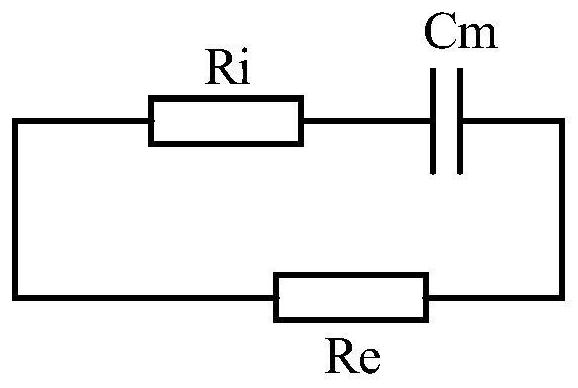 Abdominal component analyzer and analysis method thereof