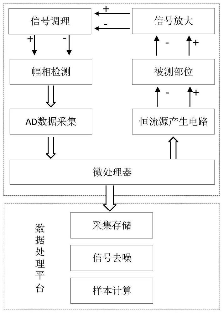 Abdominal component analyzer and analysis method thereof