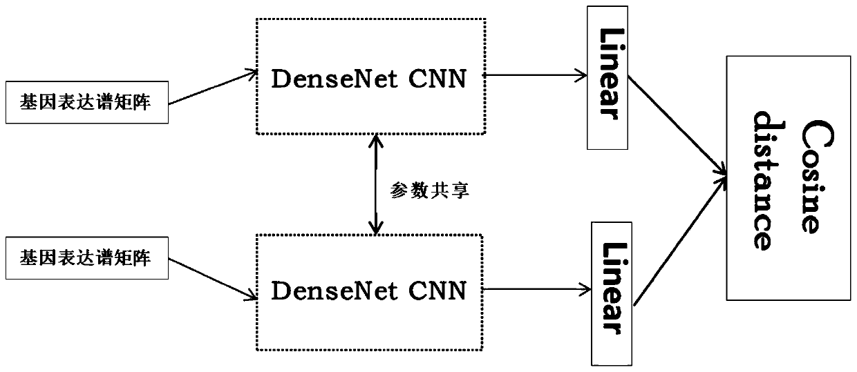 Gene expression profile distance measurement method based on deep learning