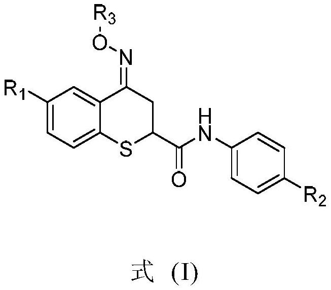 Preparation method and application of thiochroman-4-one derivative containing amide and oxime or oxime ether structure