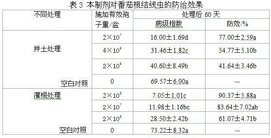 Parasitism effect of trichoderma T11-W on root-knot nematode egg and application of trichoderma T11-W