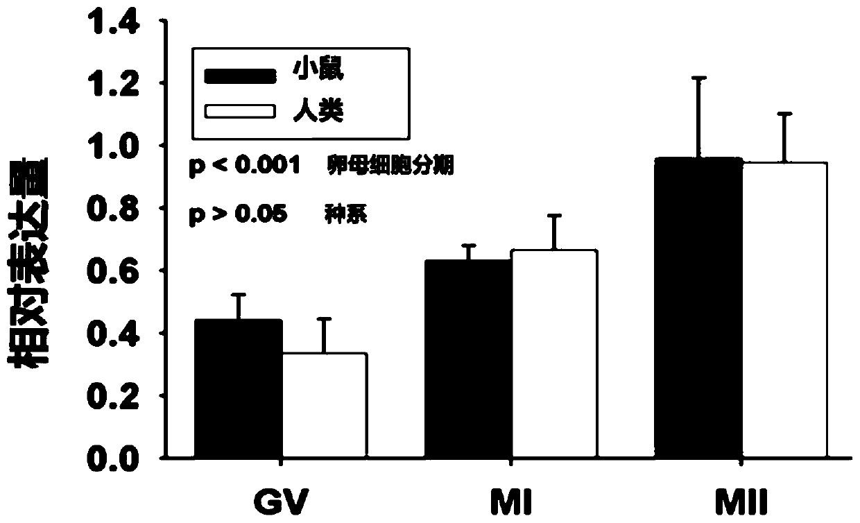 Application of SLC2A1 expression to preparing kit for detecting fertility of oocytes