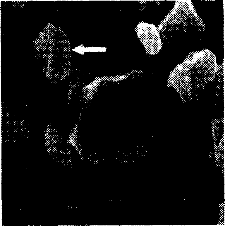 Treatment method for coating photoluminescence luminescent powder