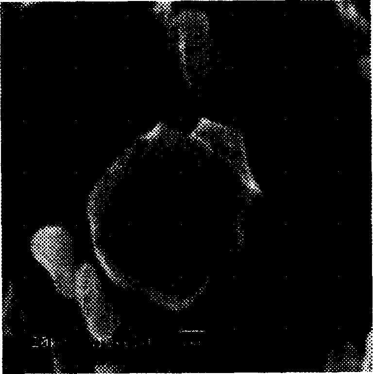 Treatment method for coating photoluminescence luminescent powder