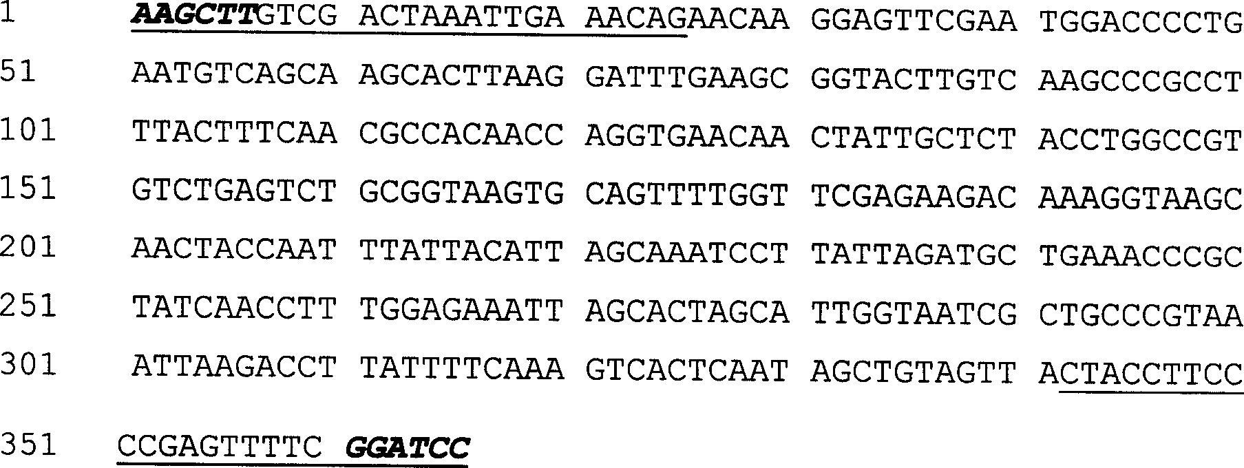 Plant anther specific promoter and its application