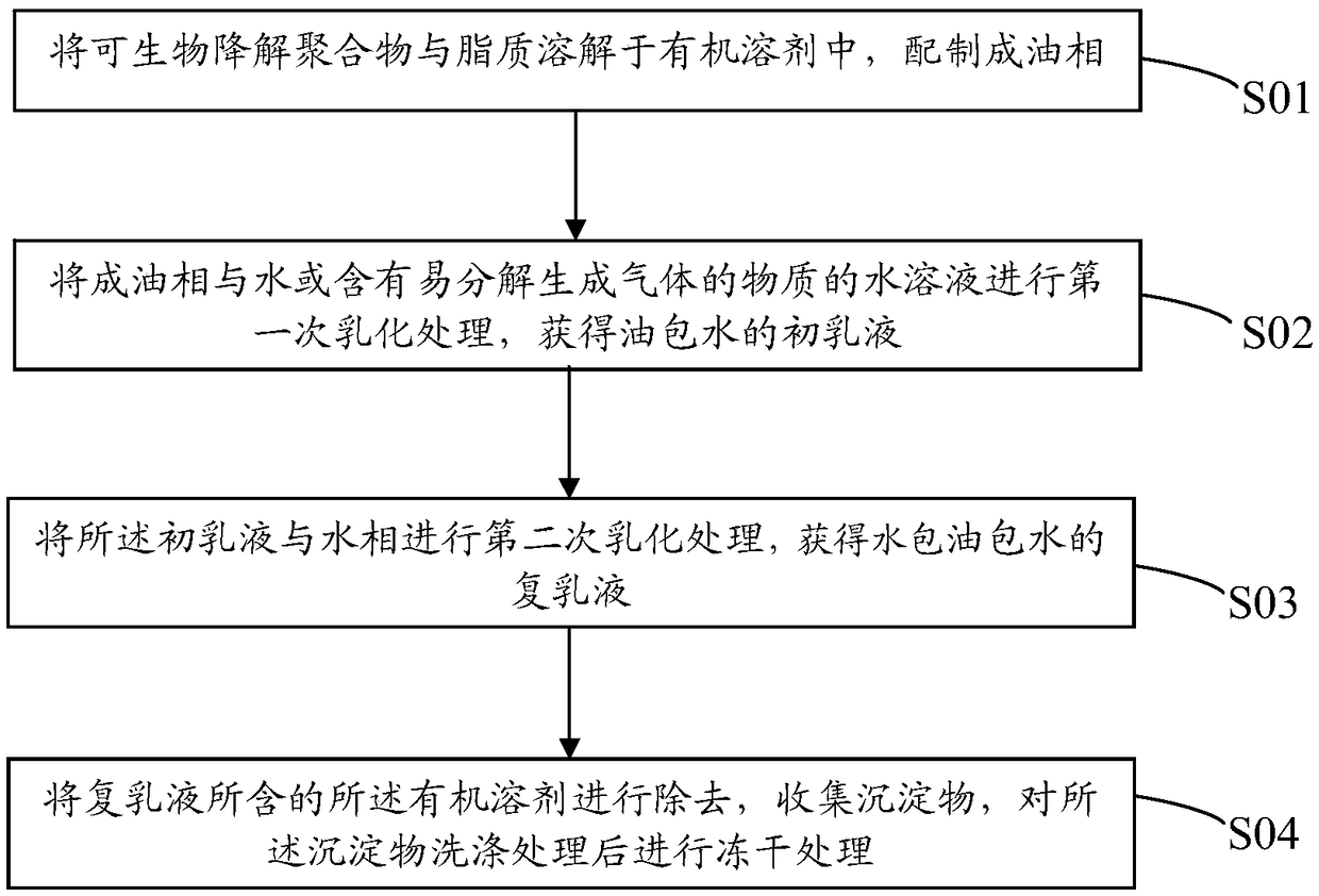 Ultrasonic contrast agent and preparation method and application thereof