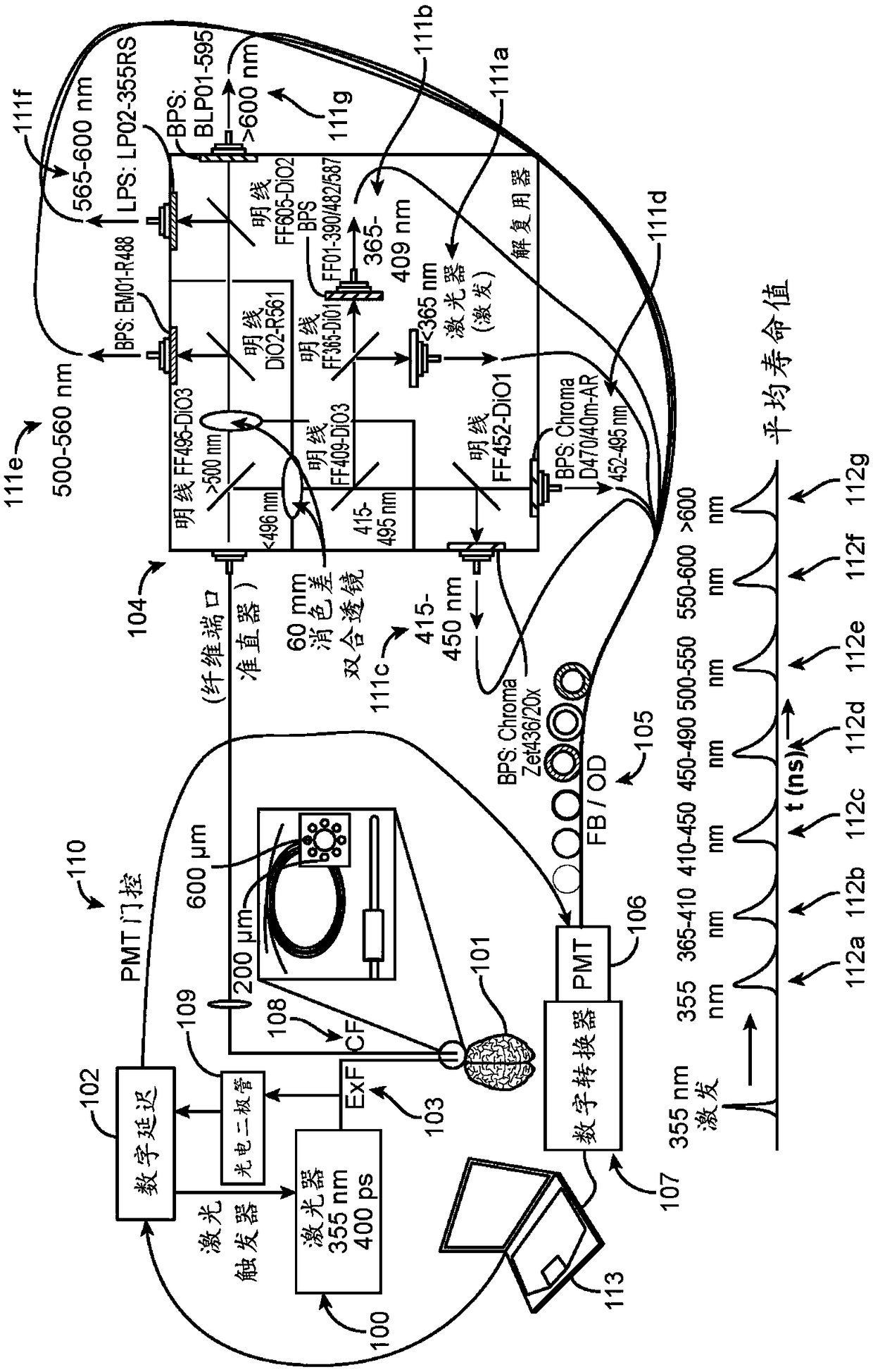 Systems, devices, and methods for time-resolved fluorescent spectroscopy