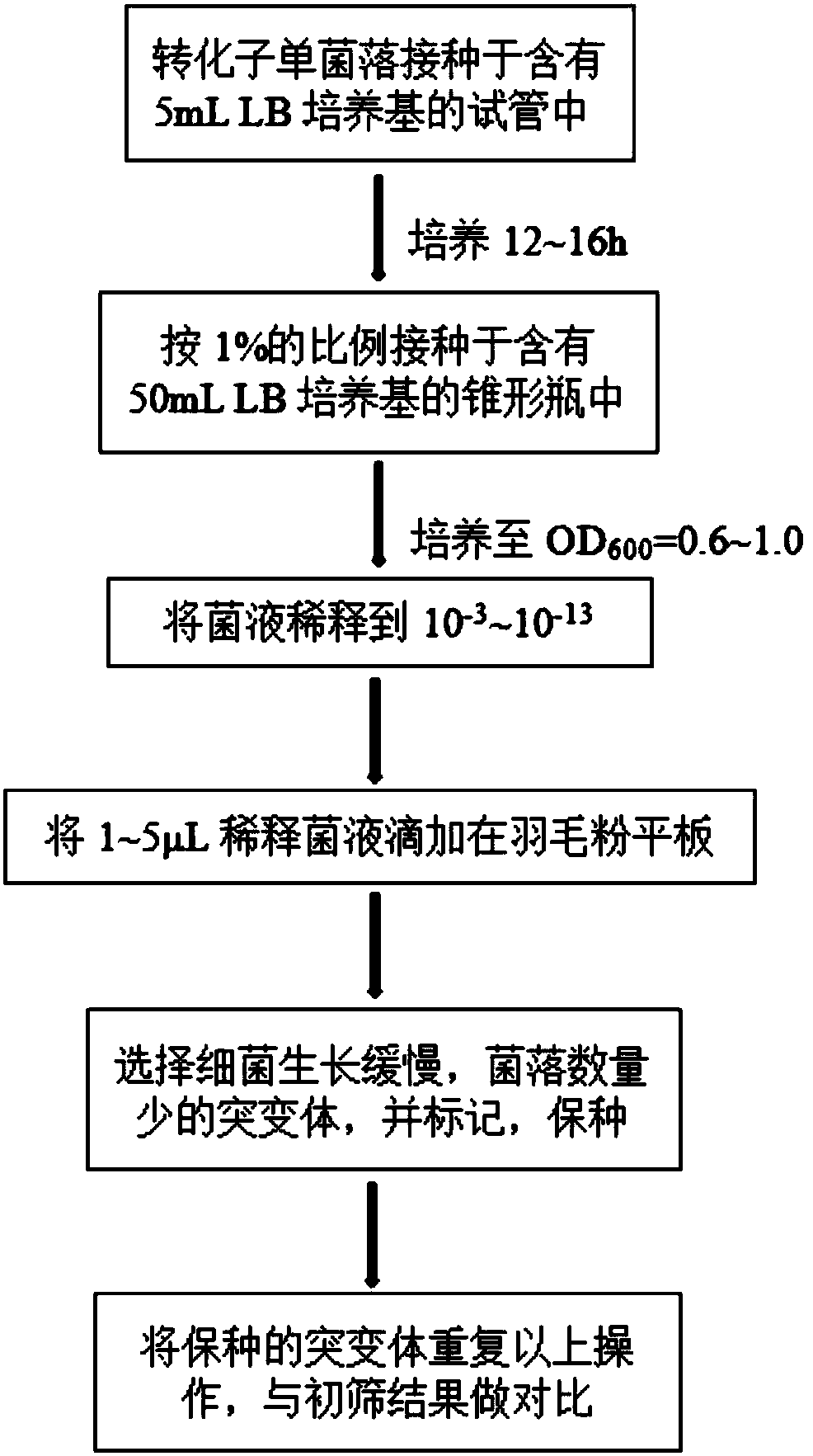 Screening system for microbial strains with different keratin degradation capabilities