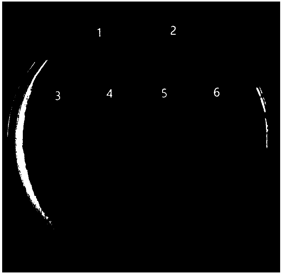 Screening system for microbial strains with different keratin degradation capabilities