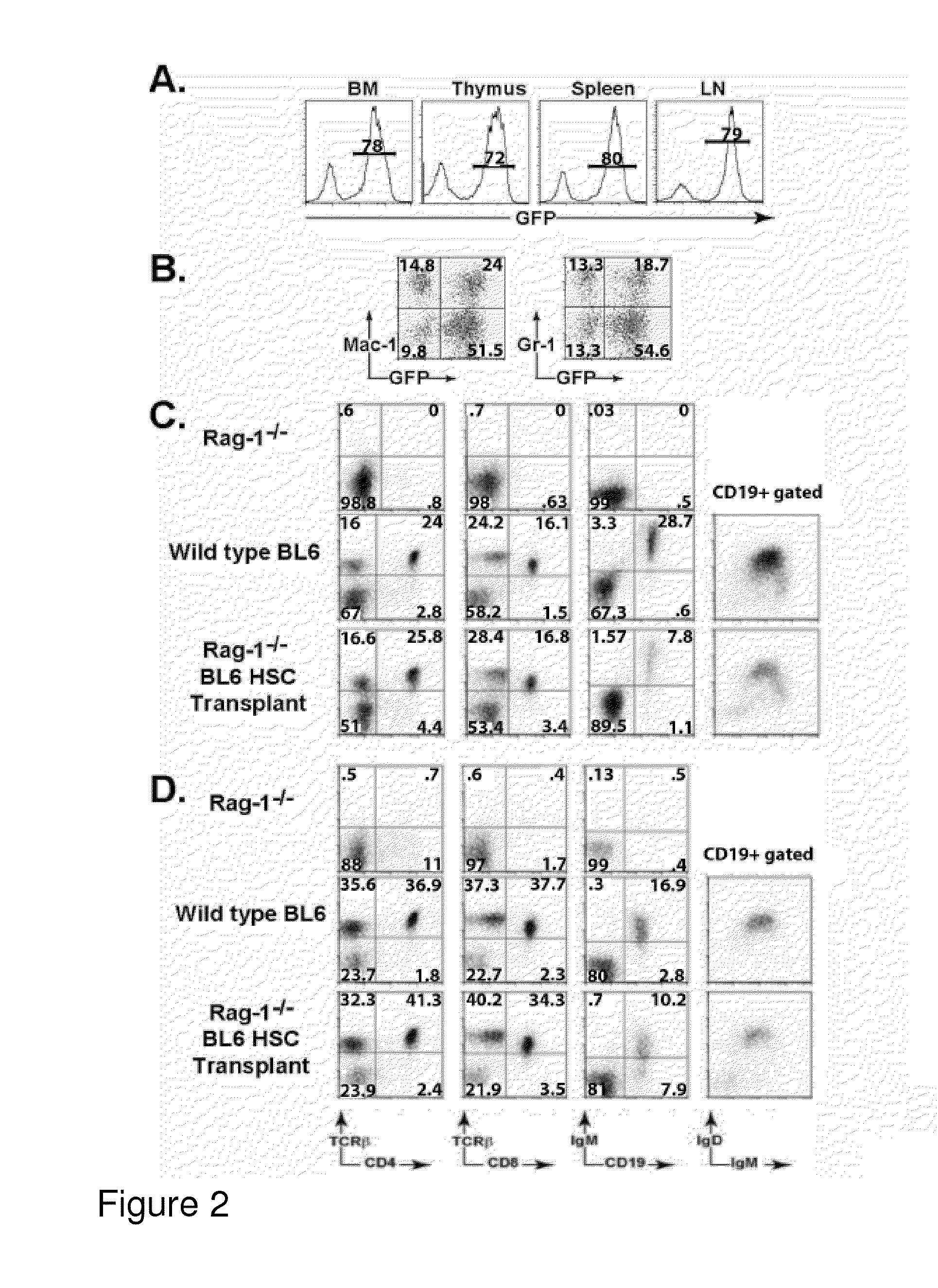 Production and use of red blood cells