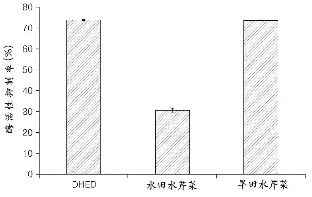 Composition for preventing or treating learning ability or memory impairment containing water celery extract as an active ingredient and method for producing the same