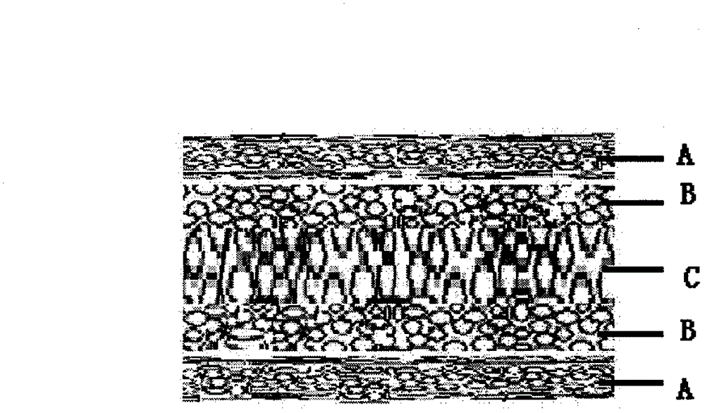 Processing method for multilayer composite sized down feather flocculus