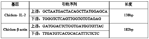 Traditional Chinese medicine composition for treating laying hen salpingitis and traditional Chinese medicine preparation thereof