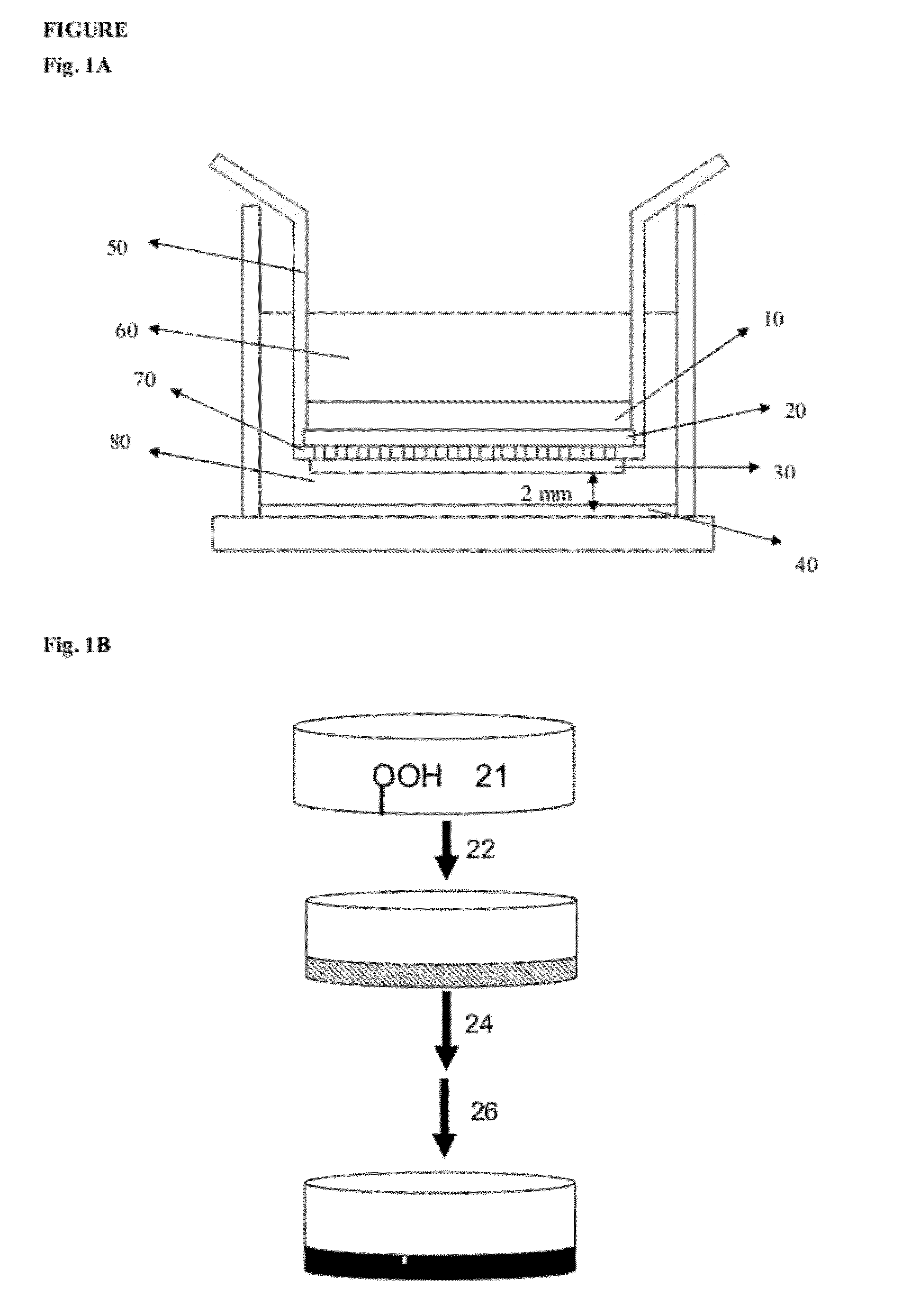 Medium and device for proliferation of stem cells and treatment of cancer-related stem cell with resveratrol