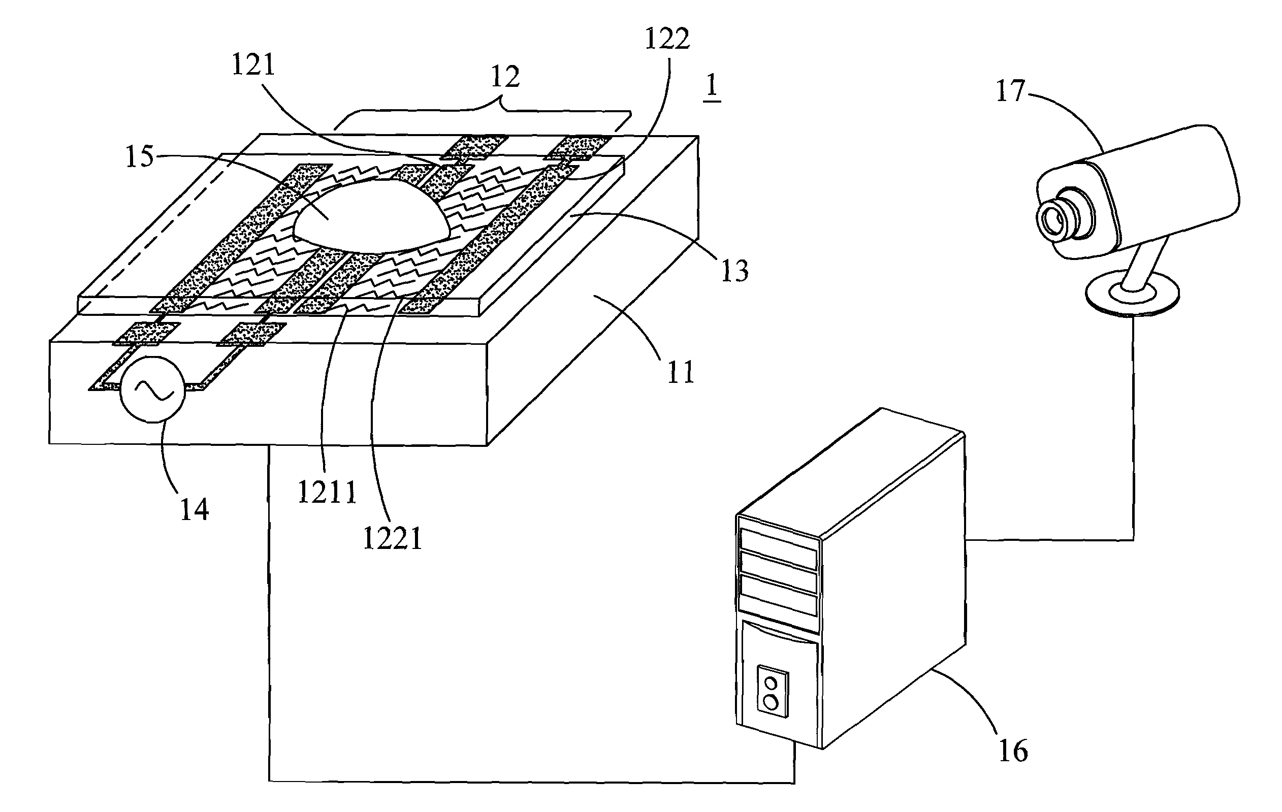 Biological detection device and detecting method