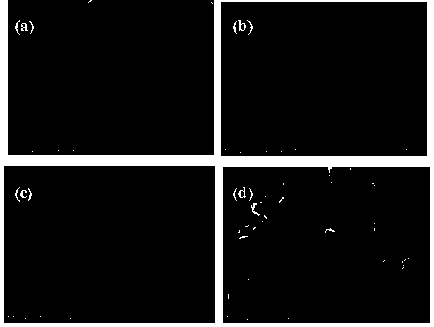 Preparation method of hollow sphere shaped cuprous oxide nano material