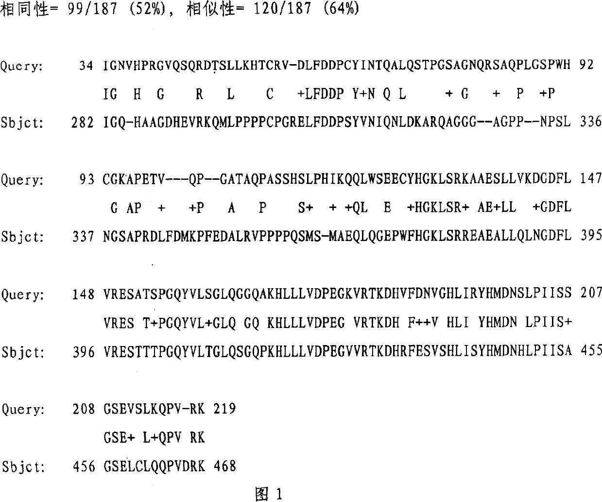 Polypeptide-human transmembrane glycopeptide 25 and polynucleotide for encoding such polypeptide