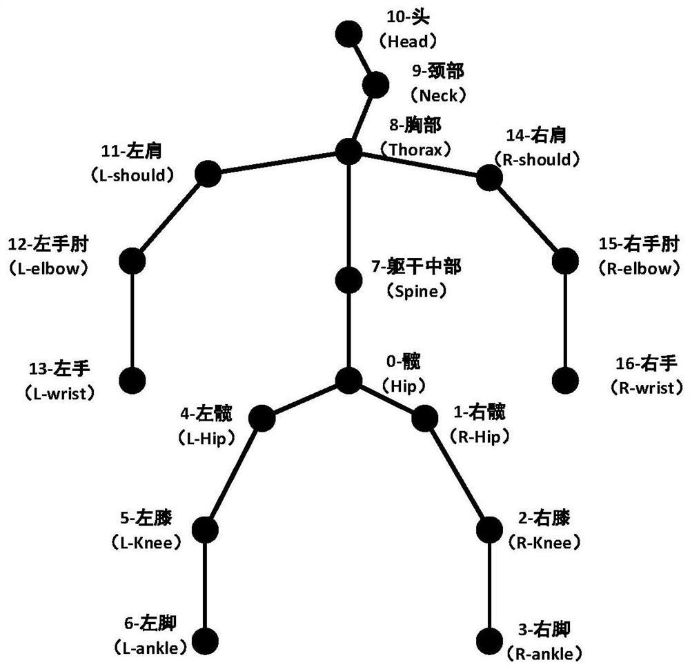 3D human body posture estimation model building method based on single-frame image and application of 3D human body posture estimation model building method