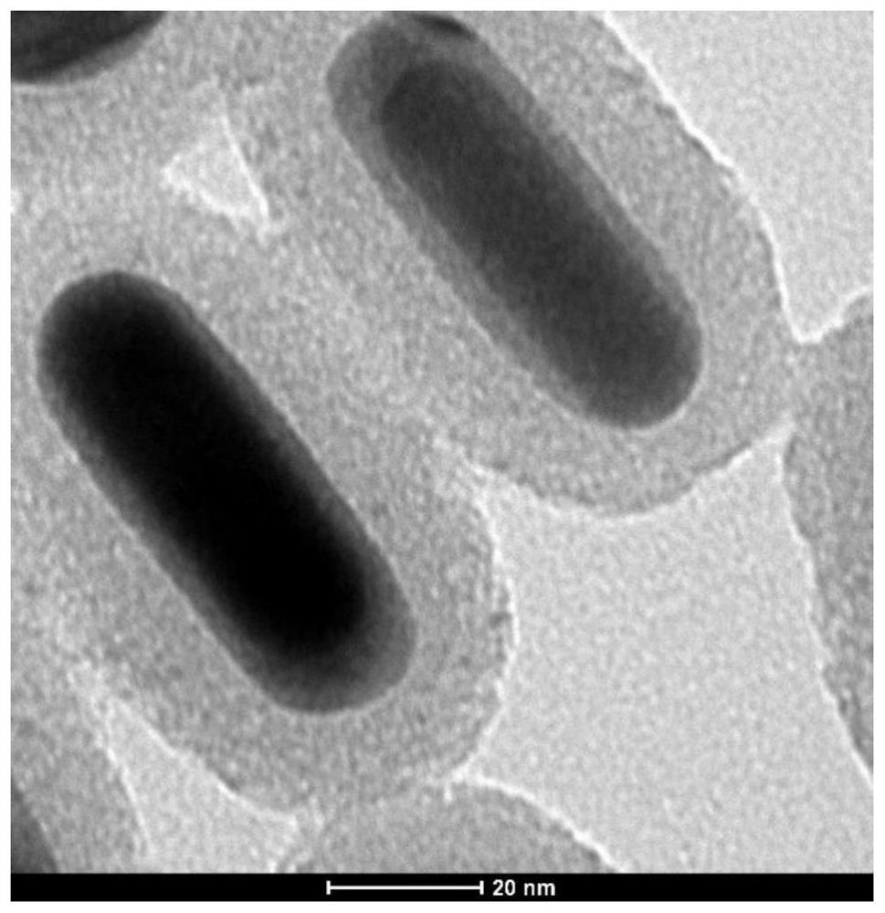 Preparation method for growing silver composite material on surface of mesoporous silica coated gold nanorod