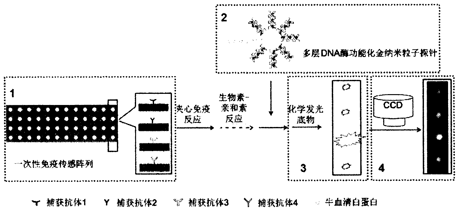 High sensitive and jettisonable multicomponent chemiluminescent imaging immunosensor