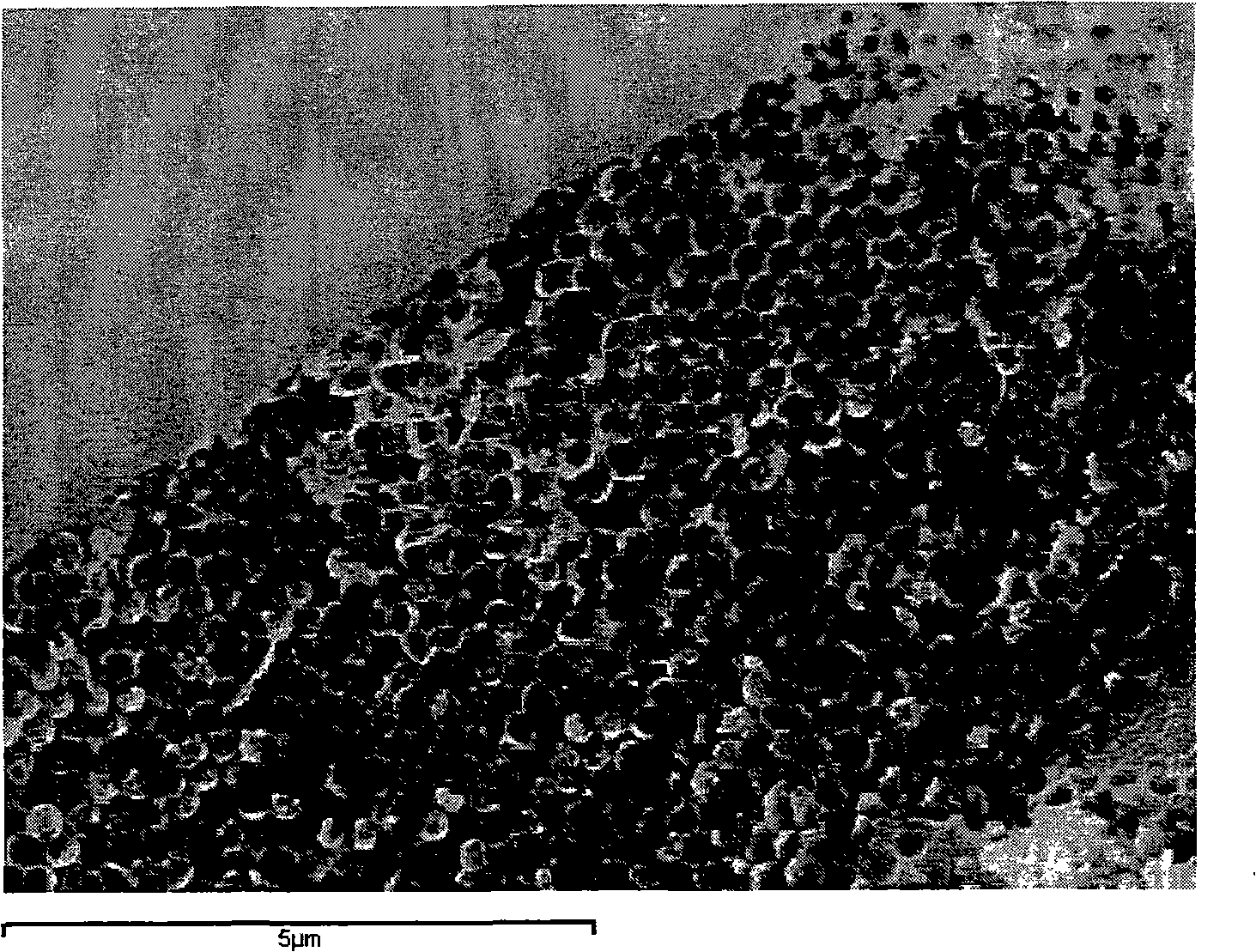 Inorganic/organic composite proton fuel cell exchange membrane and preparation thereof