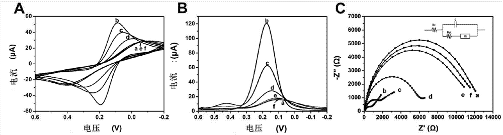 Cell electrochemical sensor for analyzing joint toxicity of fungaltoxin