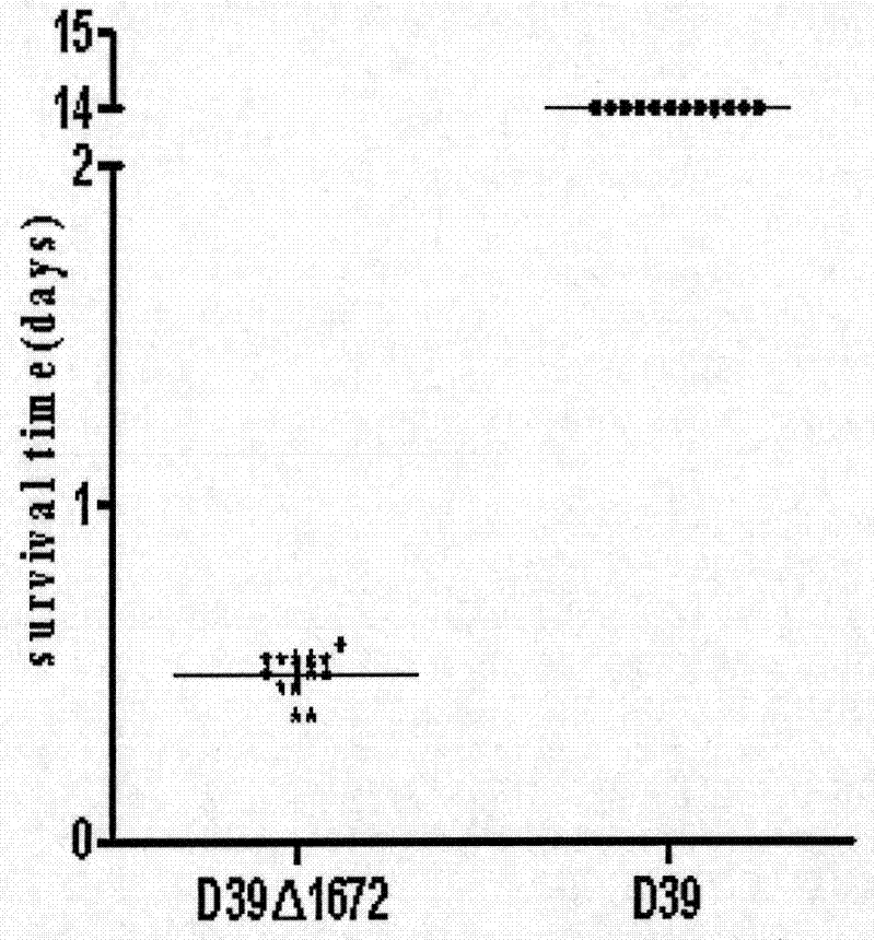 Streptococcus-pneumoniae-toxicity-reducing live vaccine