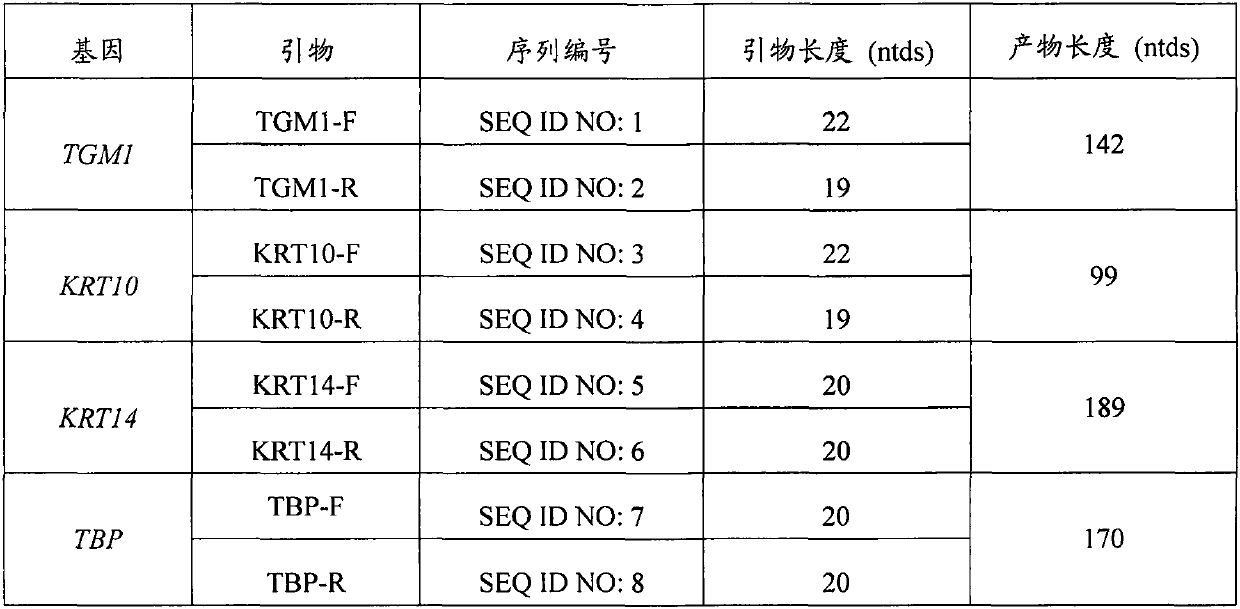 Application of golden berry extract in preparing composition for improving gene expression and mitochondrial activity