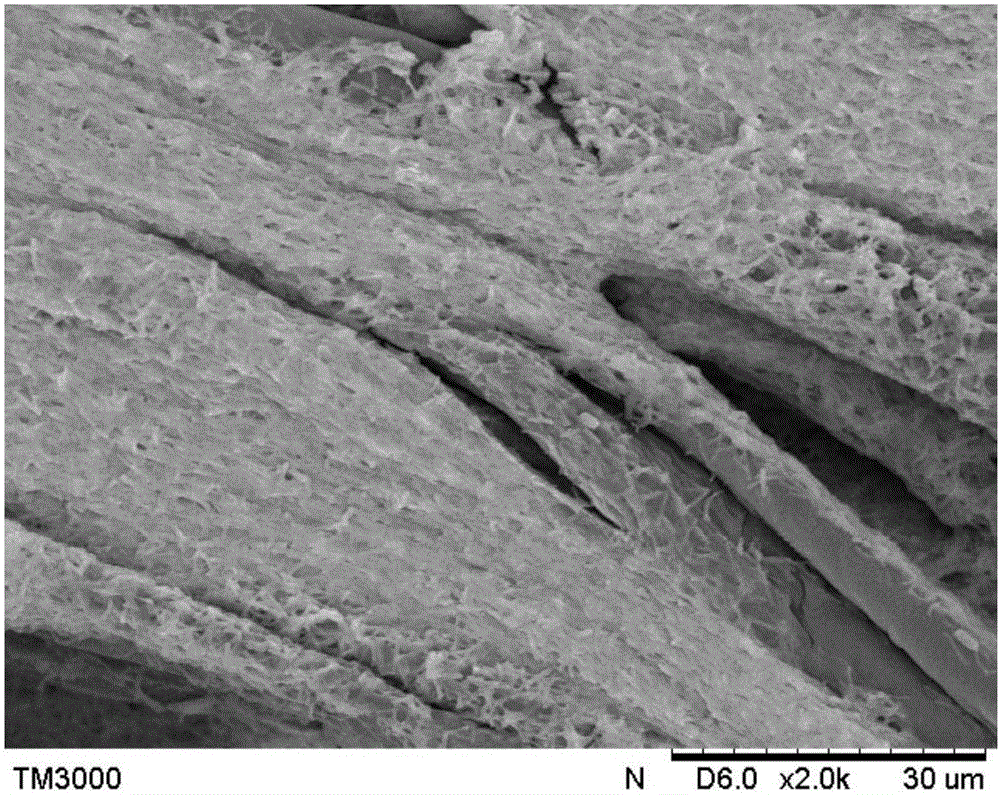 Method for extracting and isolating clostridium acetobutylicum exopolysaccharide